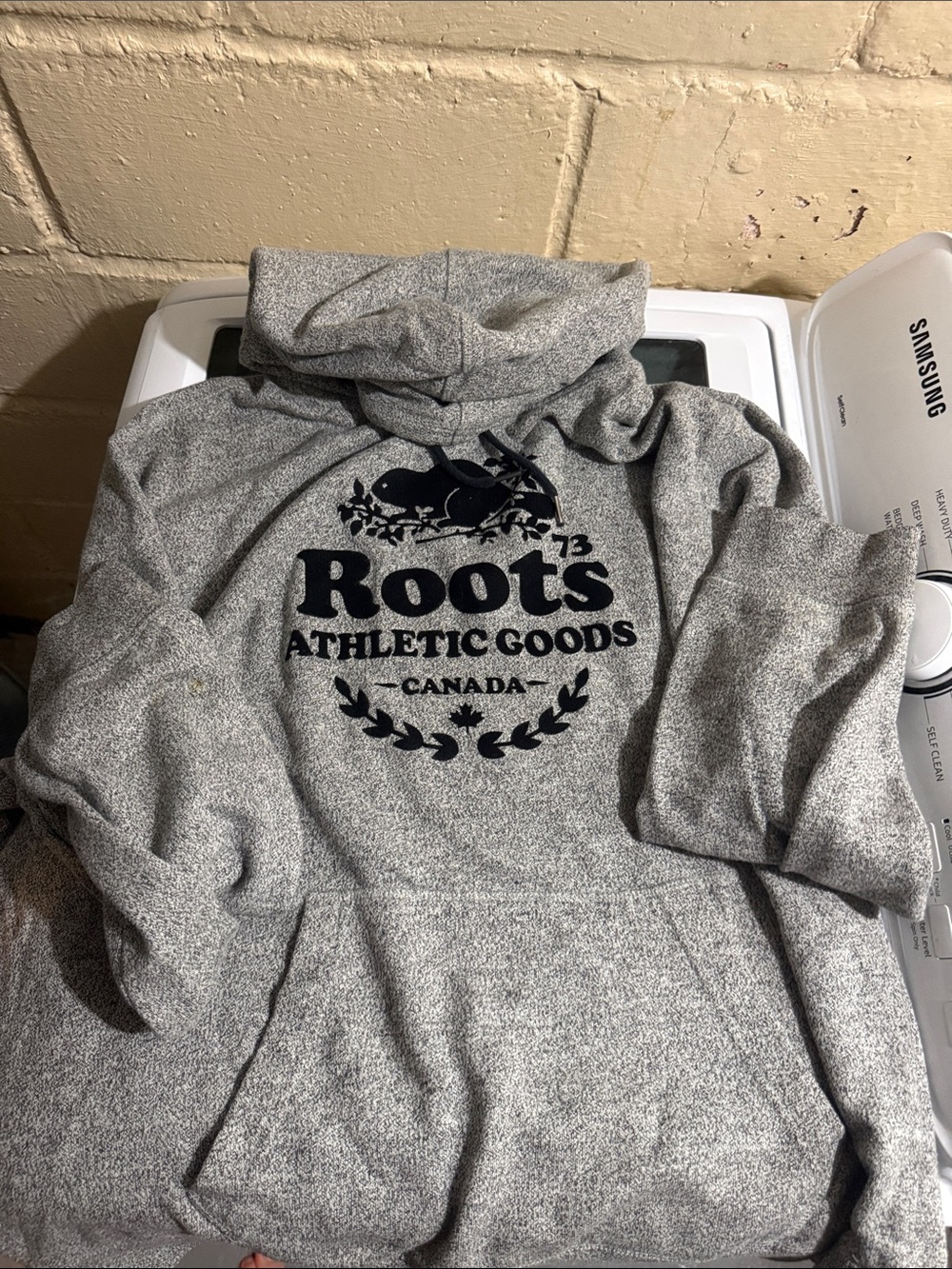 Mens roots hoodie
